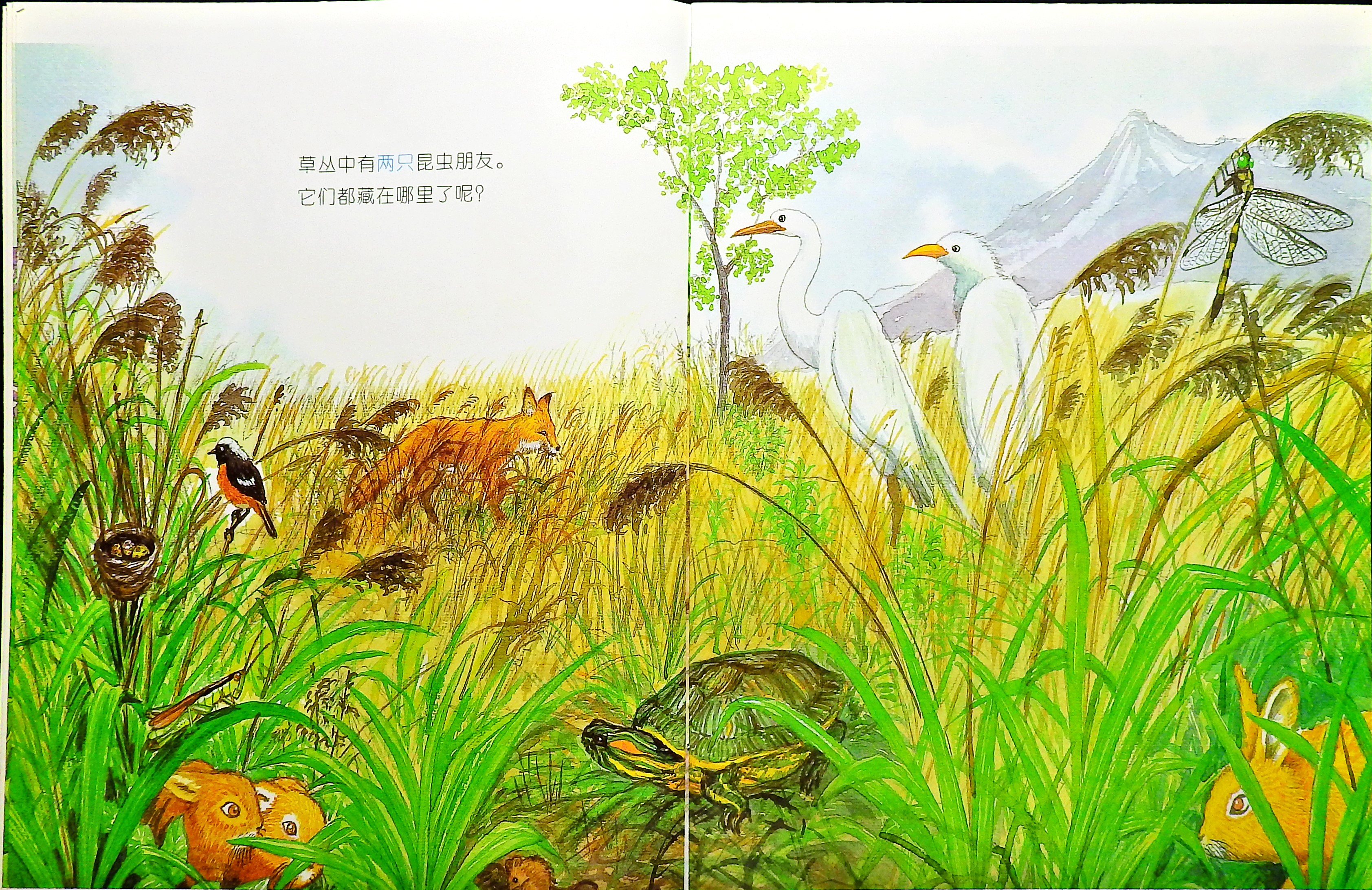 快来找我吧 (04),绘本,绘本故事,绘本阅读,故事书,童书,图画书,课外阅读